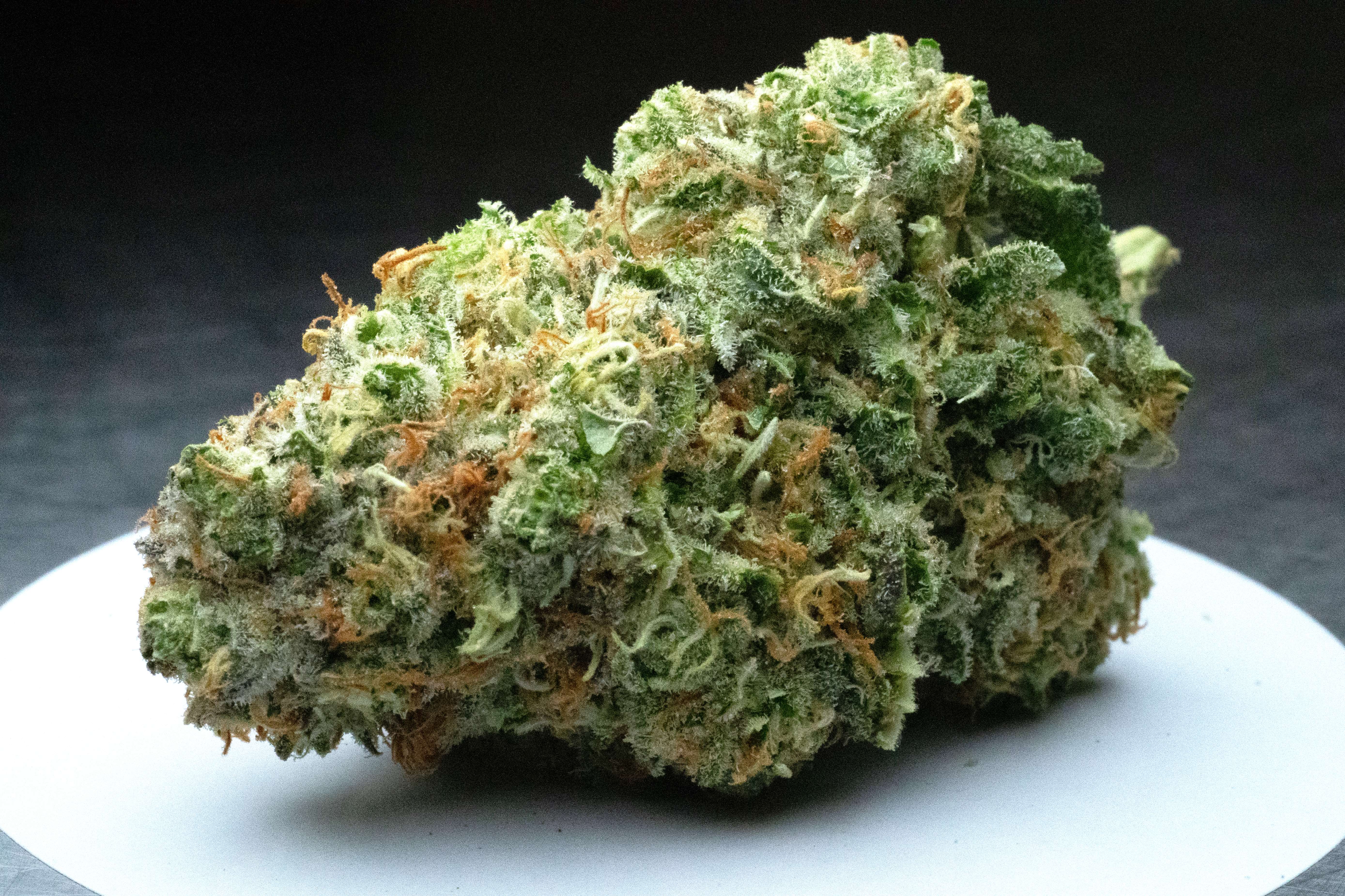 Photograph of product: Blackwater | Flower - 3.5g