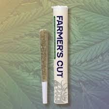 Photograph of product: Cayman Affair (H) - Pre-Roll