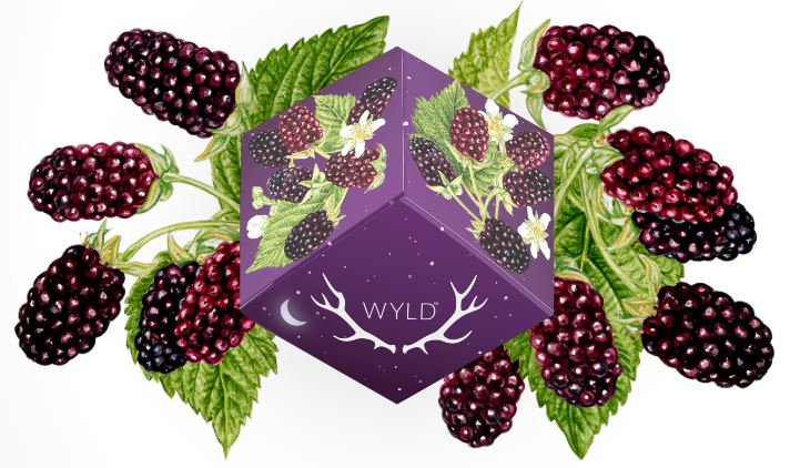 Photograph of product: Wyld - Boysenberry 1:1:1 (Sleep) - Gummy - 100mg