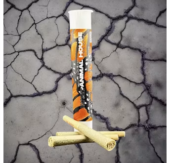 Photograph of product: Animal House | Sour Gorilla | .75g 2pk | Kief Infused Preroll