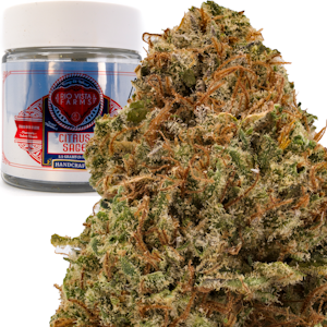 Photograph of product: Citrus Sage 3.5g Jar - Rio Vista Farms