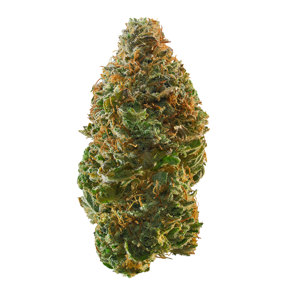 Photograph of product: Gelato Pop - 458 - 28g