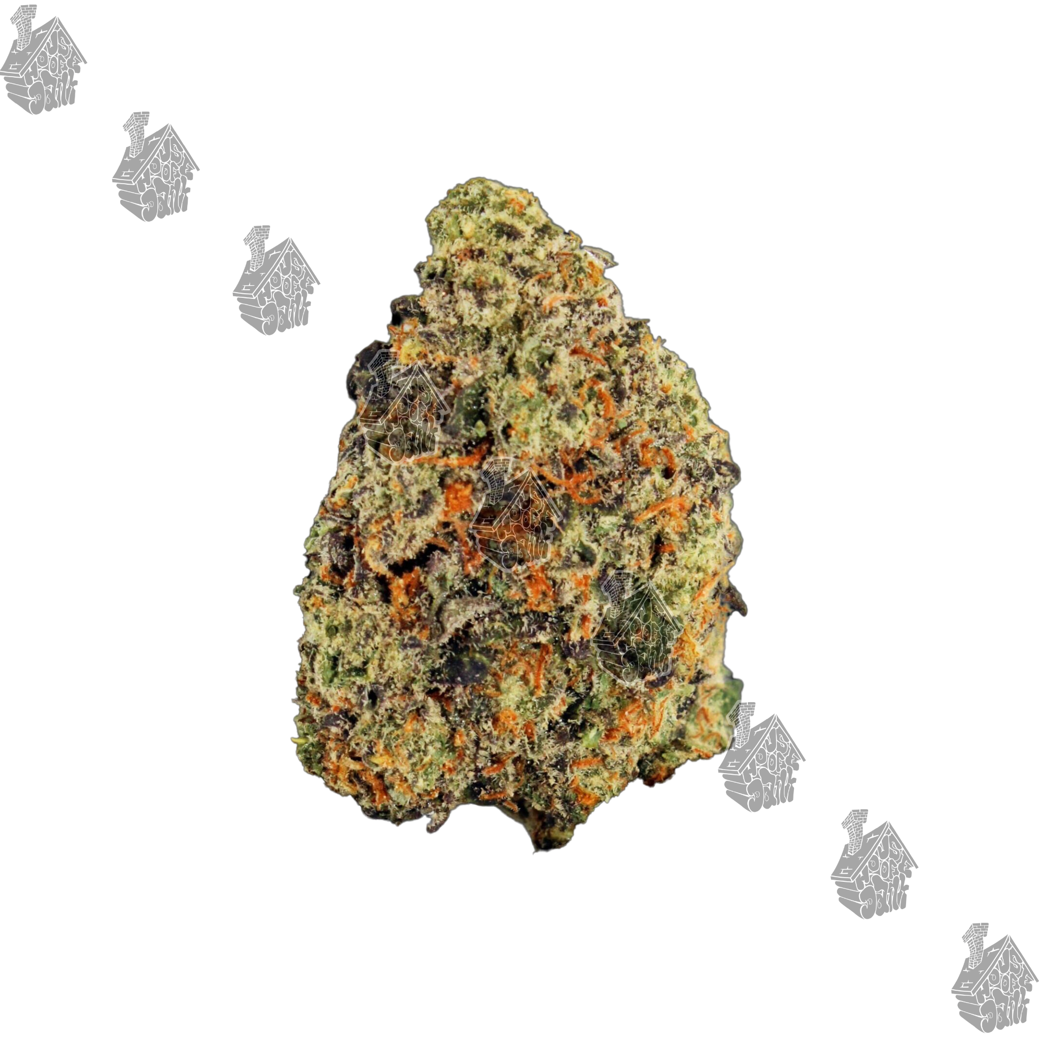 Photograph of product: Gelato 41 28g