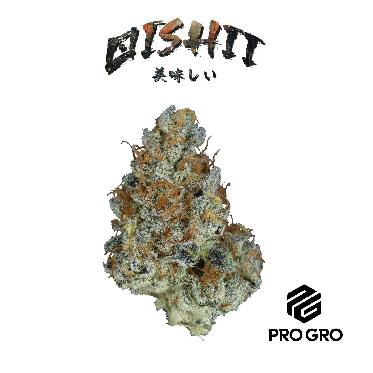 Photograph of product: Oishii #10 | Deli - 1g