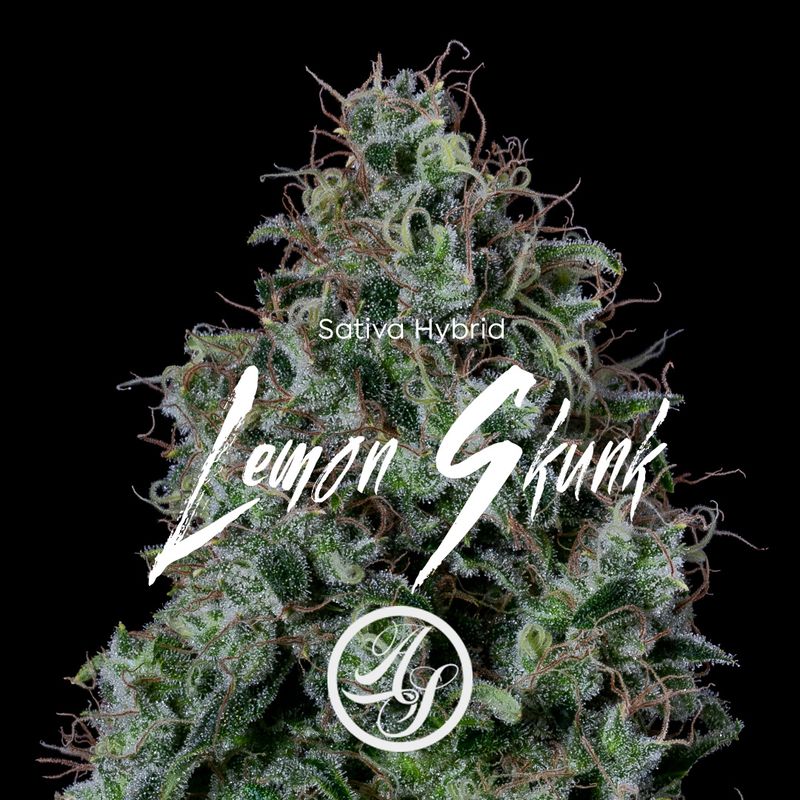 Photograph of product: Alt Sol | Lemon Skunk | Pre-Packaged Flower | 14g