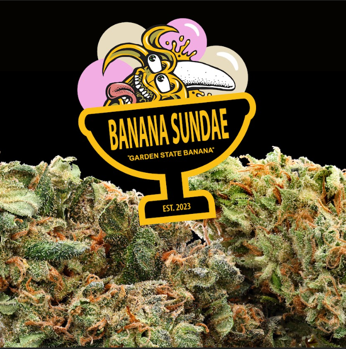 Photograph of product: Flower | Banana Sundae - 3.5g