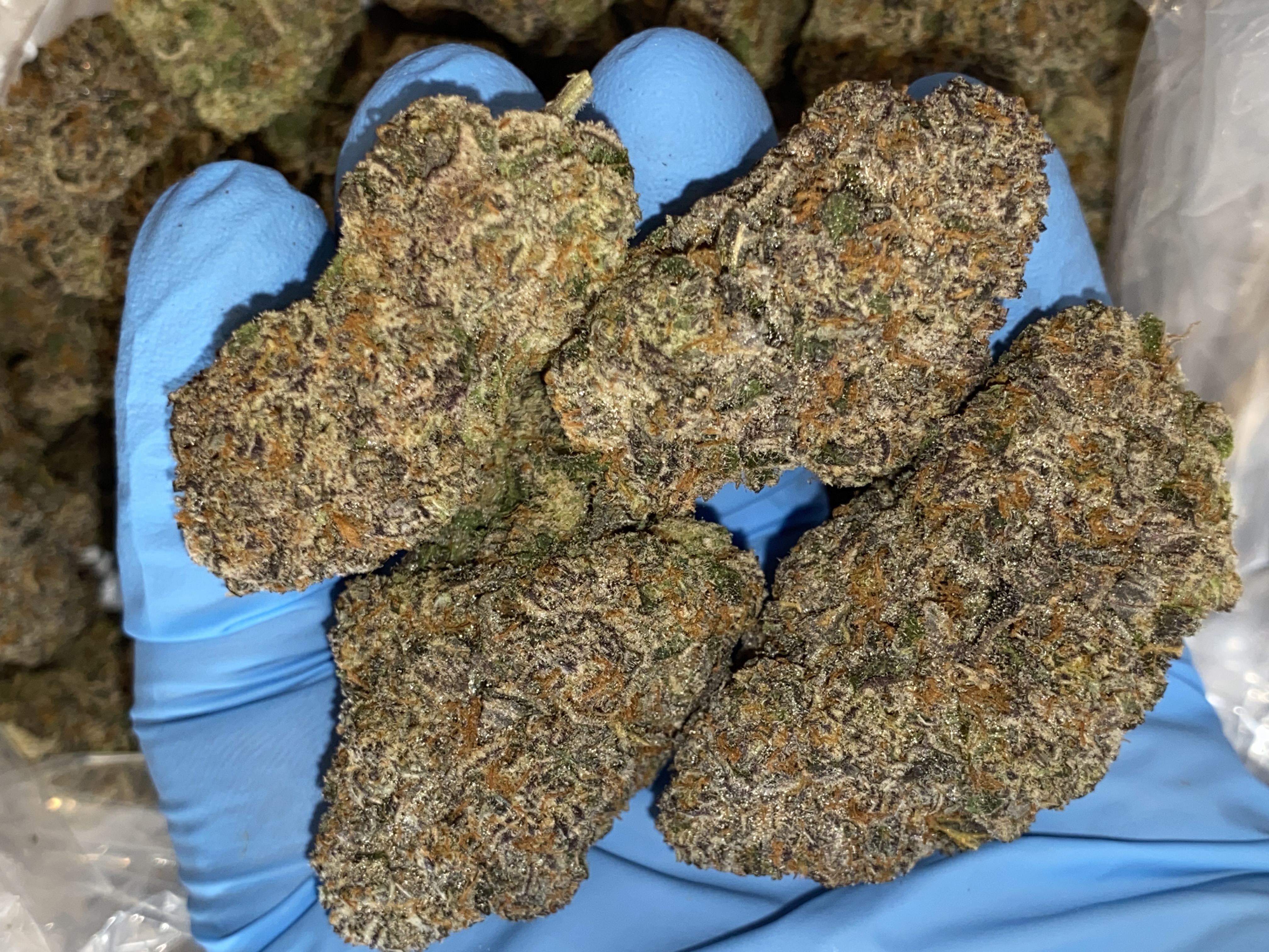 Photograph of product: Pineapple Whip | Top Shelf - 28g