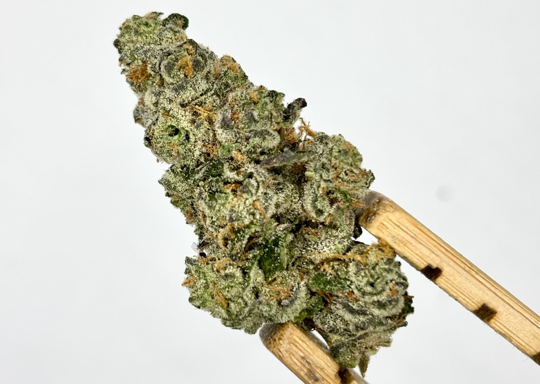 Photograph of product: Grown Rogue | Slurty #3 | House Pre-Pack | 28g