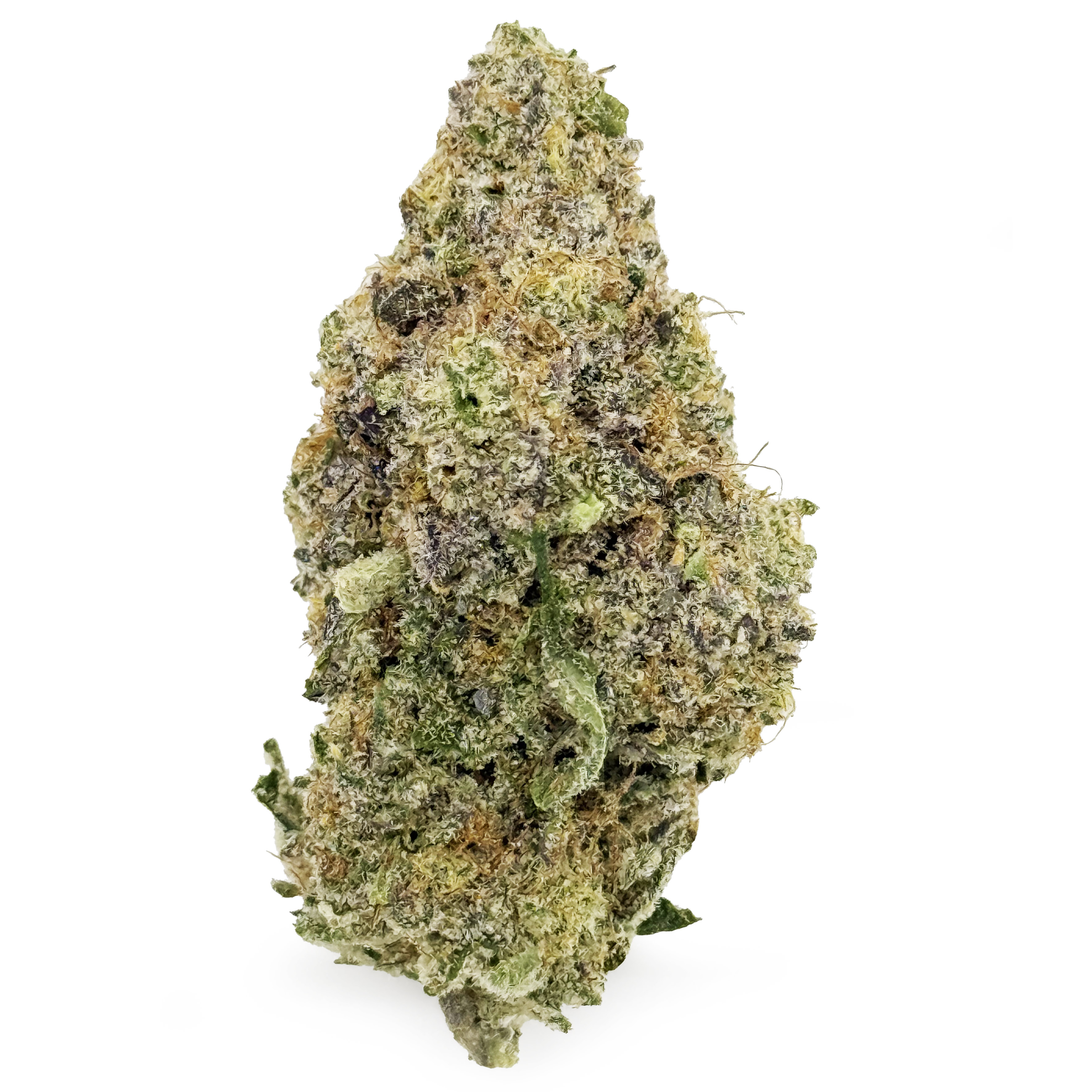 Photograph of product: Green Sprout Blueberry Muffin Rec - 70g