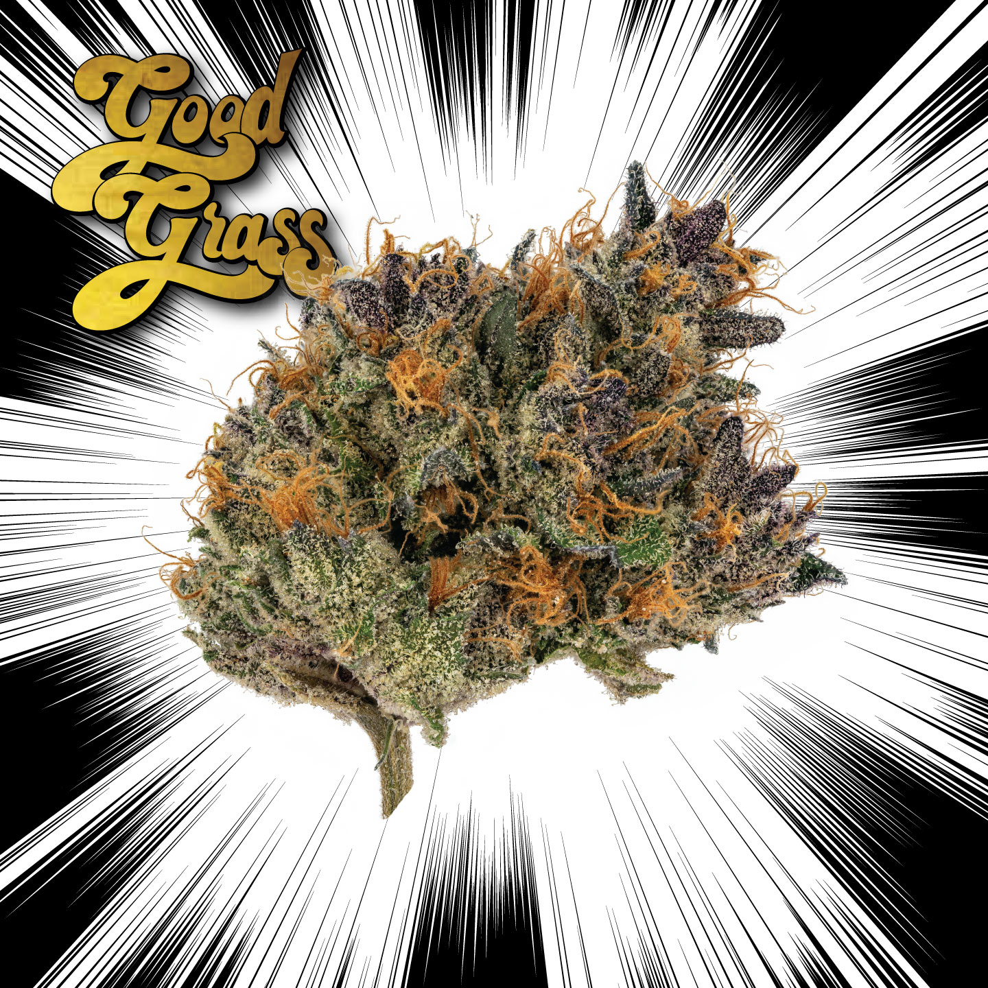 Photograph of product: G.O.A.T Gouda | Good Grass - 3.5g