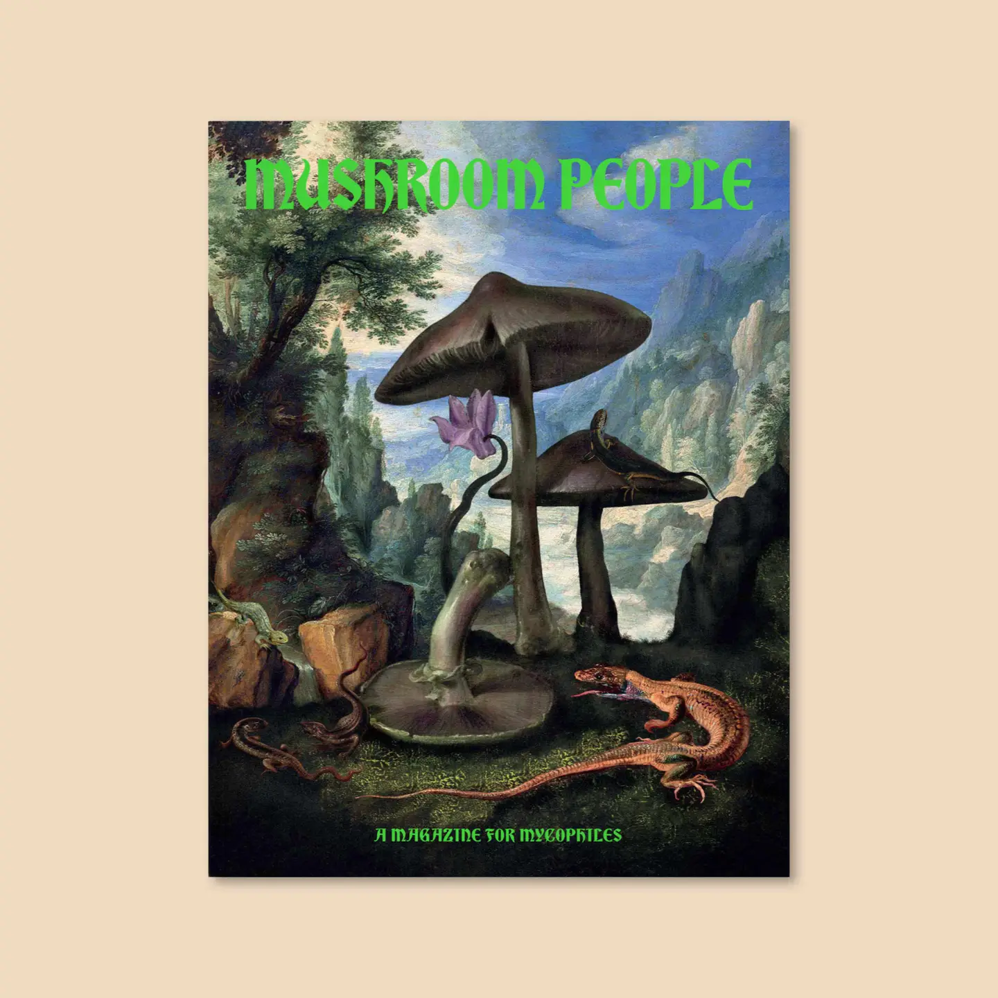 Photograph of product: Mushroom People Magazine