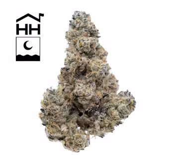 Photograph of product: GMO - 3.5g
