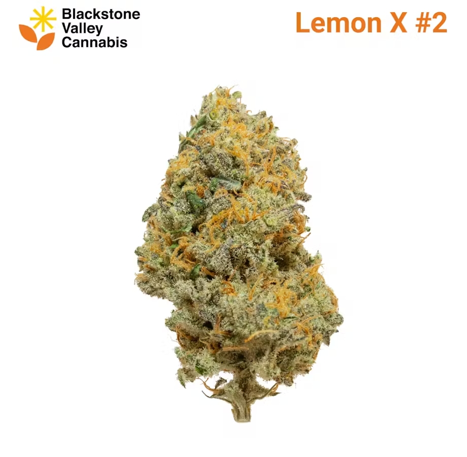 Photograph of product: Lemon X #2 3.5g