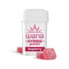 Photograph of product: Raspberry Hybrid Gummies - 10 Pack
