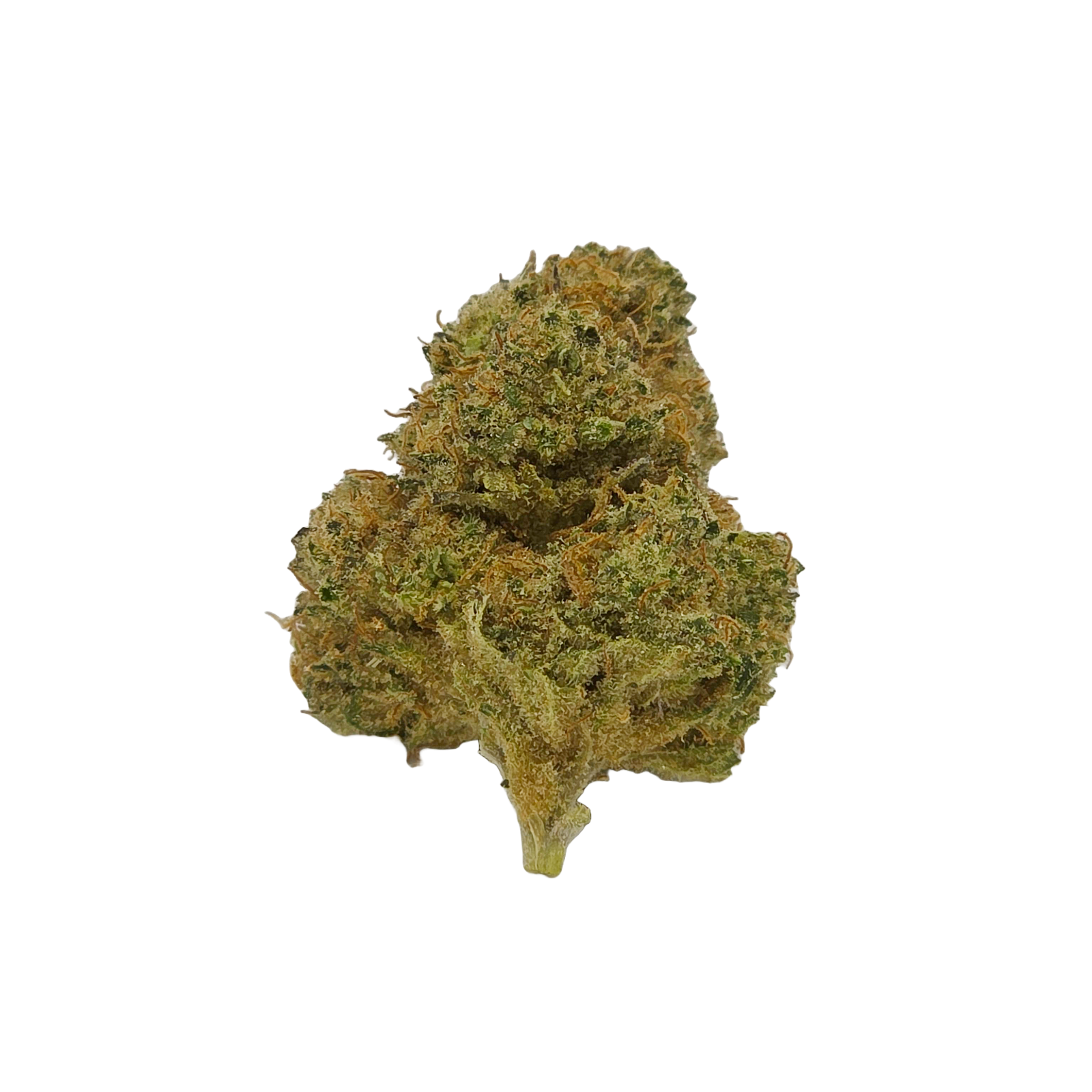 Photograph of product: Mt Hood Magic - 28g