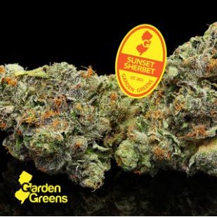 Photograph of product: GG Sunset Sherbert 5 Pack 2.5