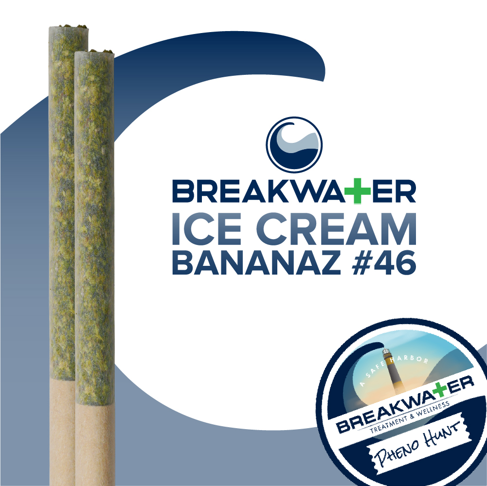 Photograph of product: Ice Cream Bananaz #46 Premium Rolled Joints (2pk)
