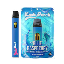Photograph of product: Kushy Punch - Blue Raspberry - AIO - 1g