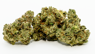 Photograph of product: Cap Junky | Greencraft Oui'd - 28g