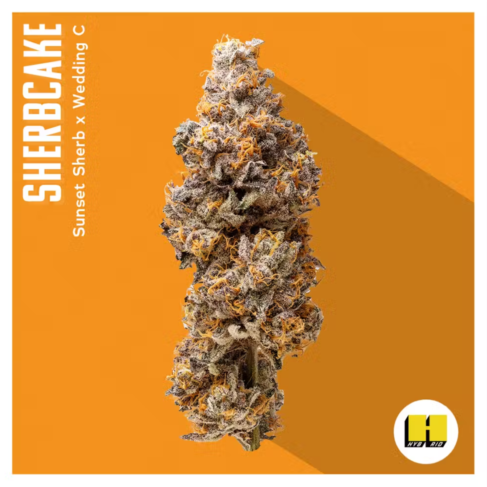 Photograph of product: 3.5g | Sherb Cake | INSA
