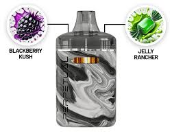 Photograph of product: Jelly Rancher & Blackberry Kush Disposable