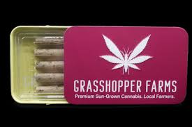Photograph of product: Grasshopper - Infused Pre-Roll Tins - Blazin Blueberry Melon