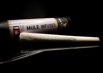 Photograph of product: Mule Infused Pre Roll: Apple Slapz x Strawberry Guava - 