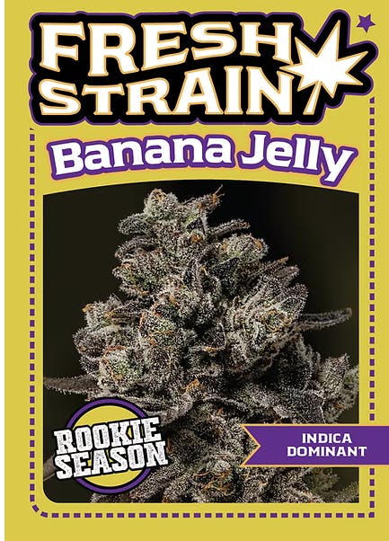 Photograph of product: Banana Jelly (Indoor Flower) - 3.5g - 