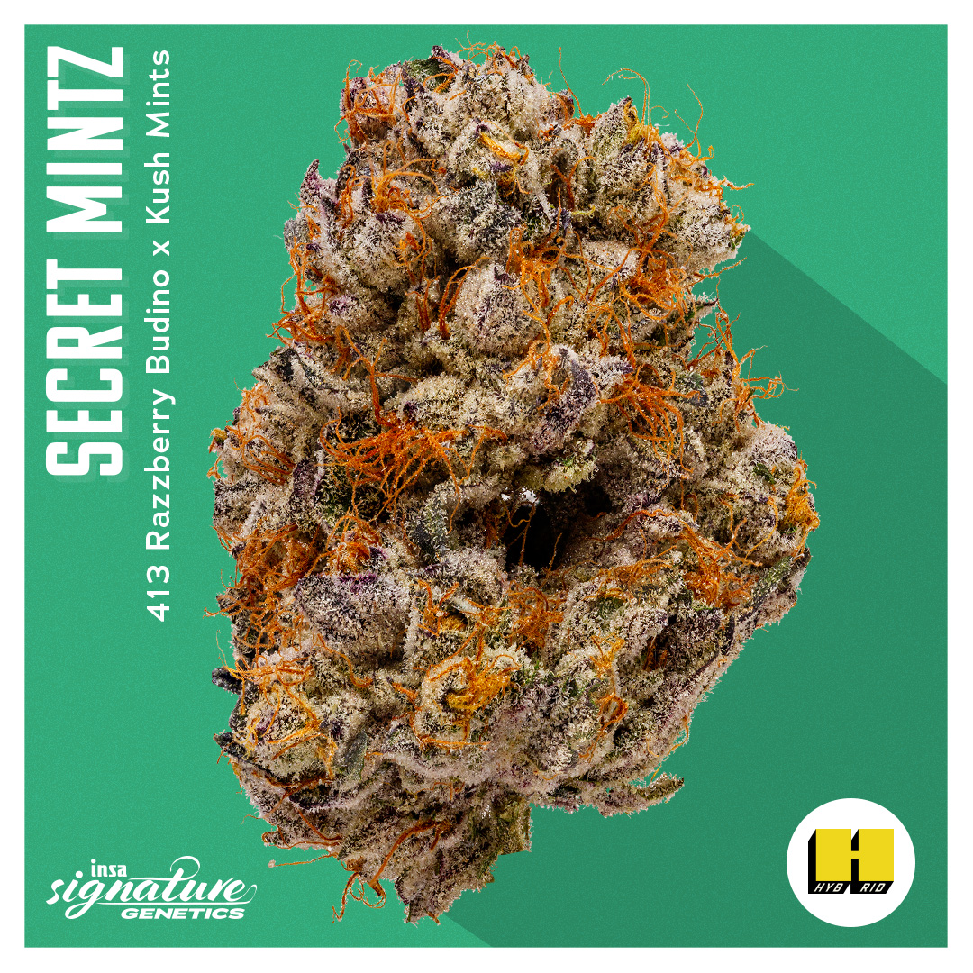 Photograph of product: Flower - Secret Mints - 3.5g
