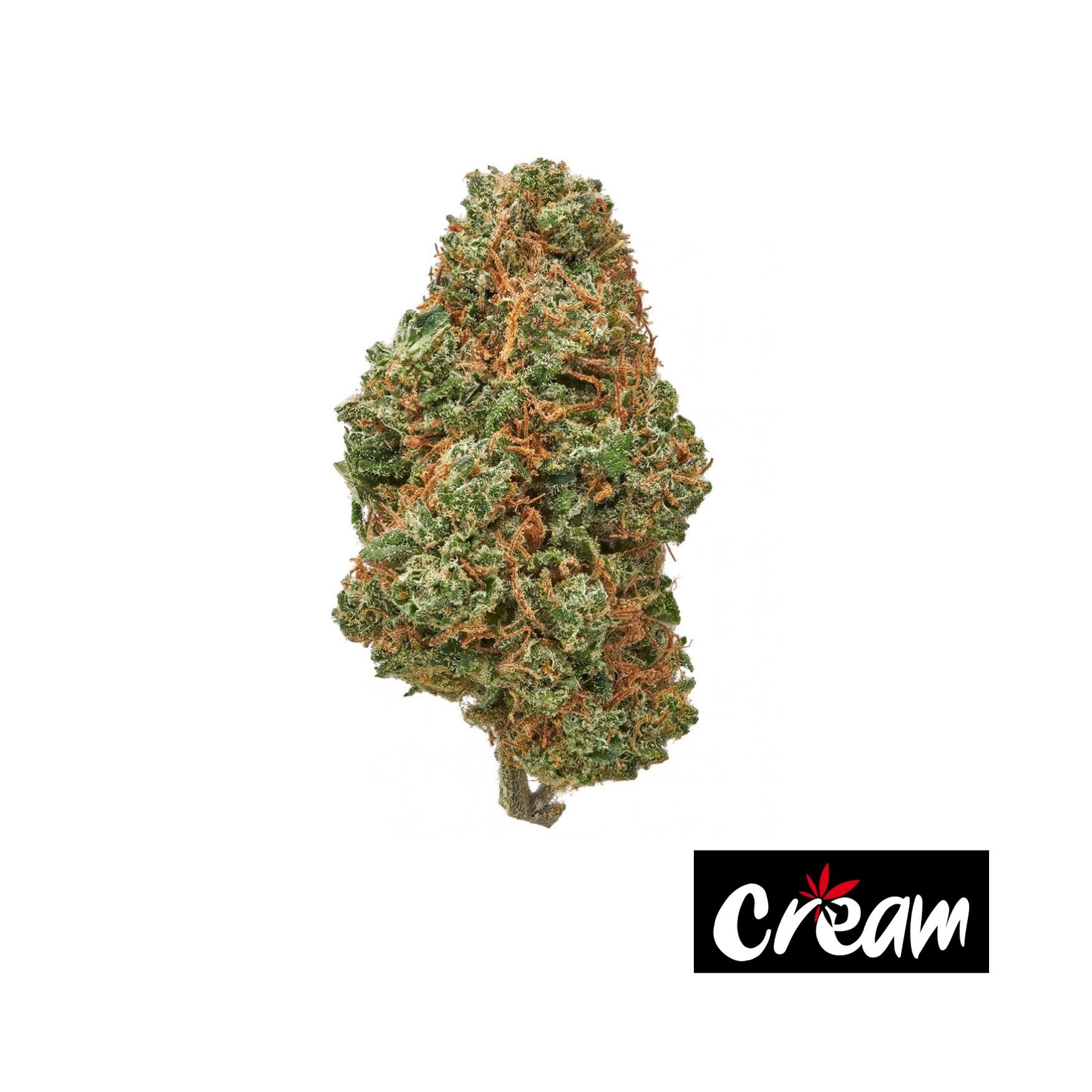 Photograph of product: Creme Brule Runtz - 3.5g