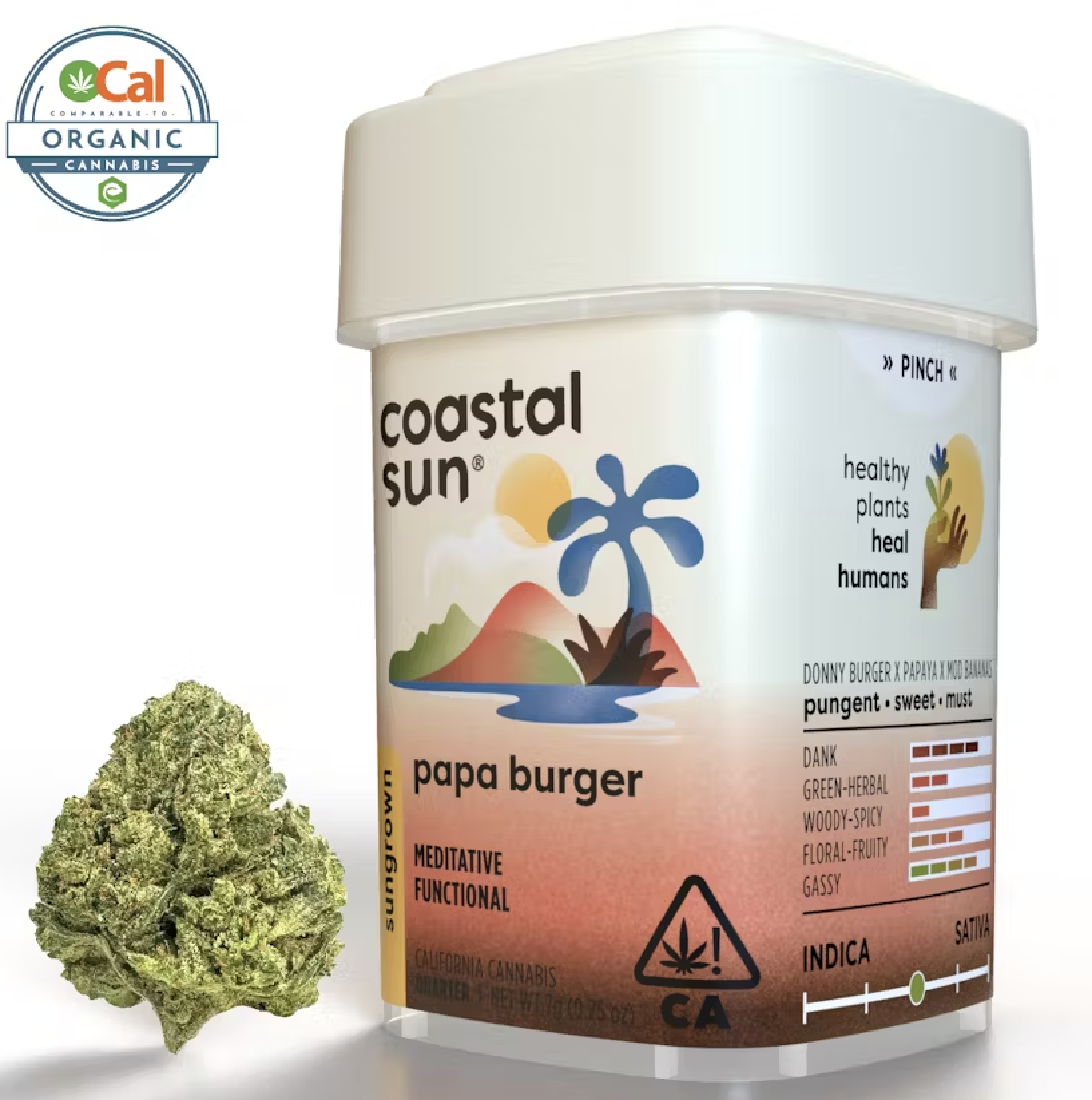 Photograph of product: Coastal Sun Sungrown 7g - Orange 43 (IH)