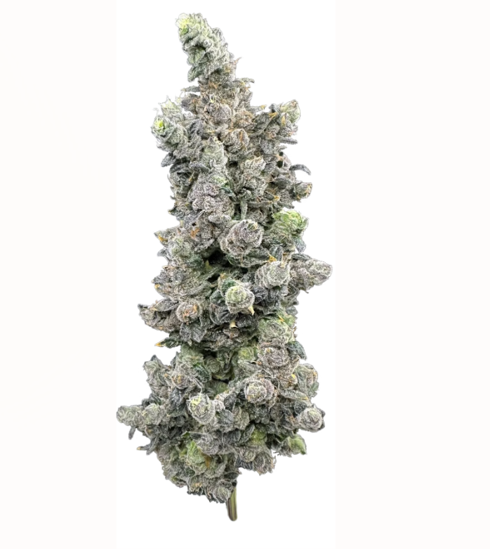 Photograph of product: Flower | Vanilla Zoap - 3.5g