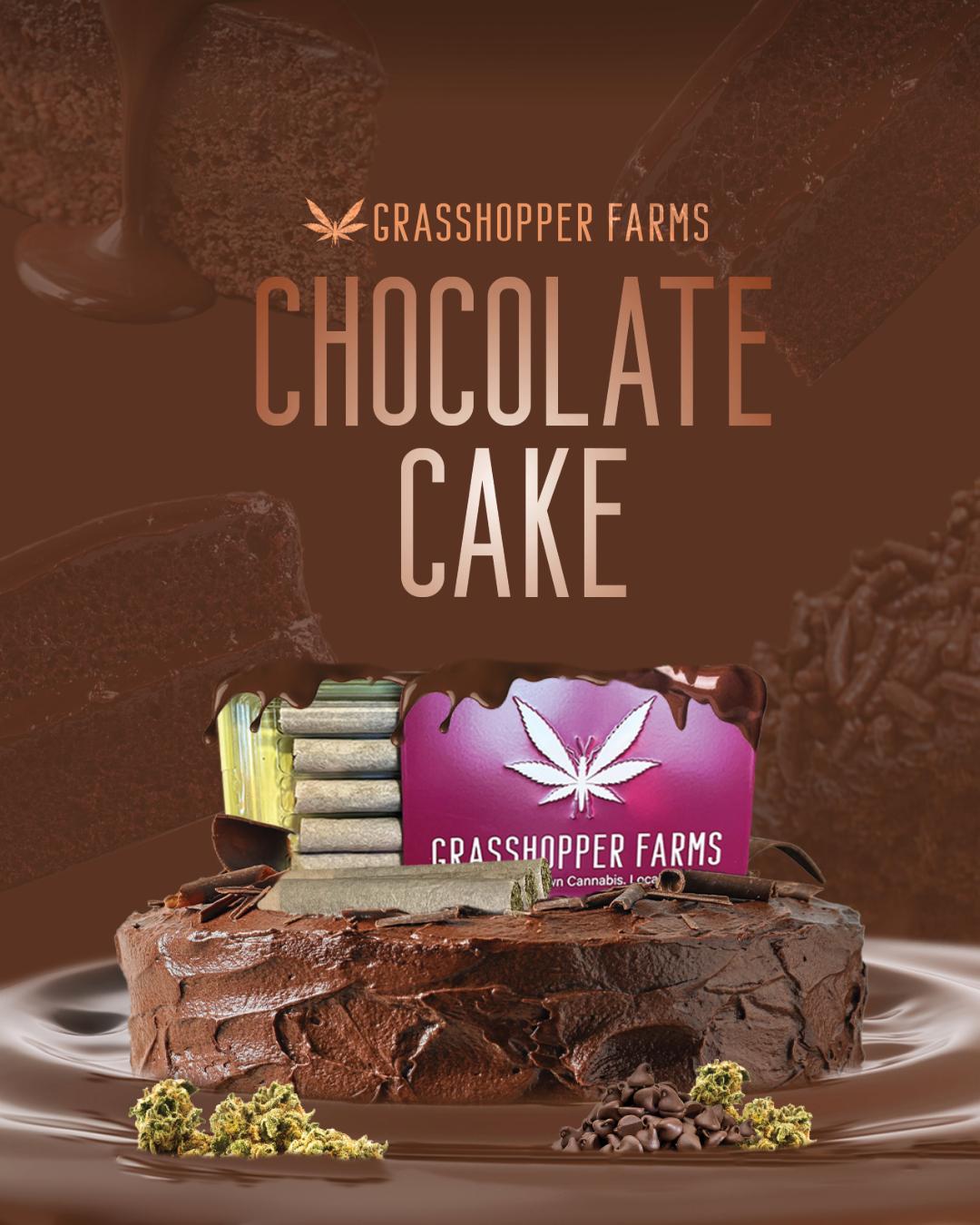 Photograph of product: Chocolate Cake | 1G Infused Prerolls 5PK