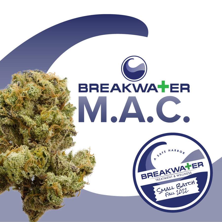 Photograph of product: Breakwater  |  M.A.C.  | Flower | Whole Flower - 3.5g