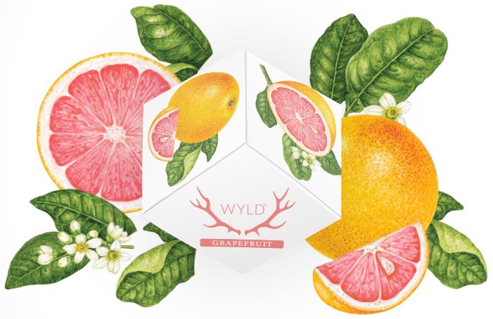 Photograph of product: Wyld - Grapefruit 1:1:1 - Gummy - 100mg