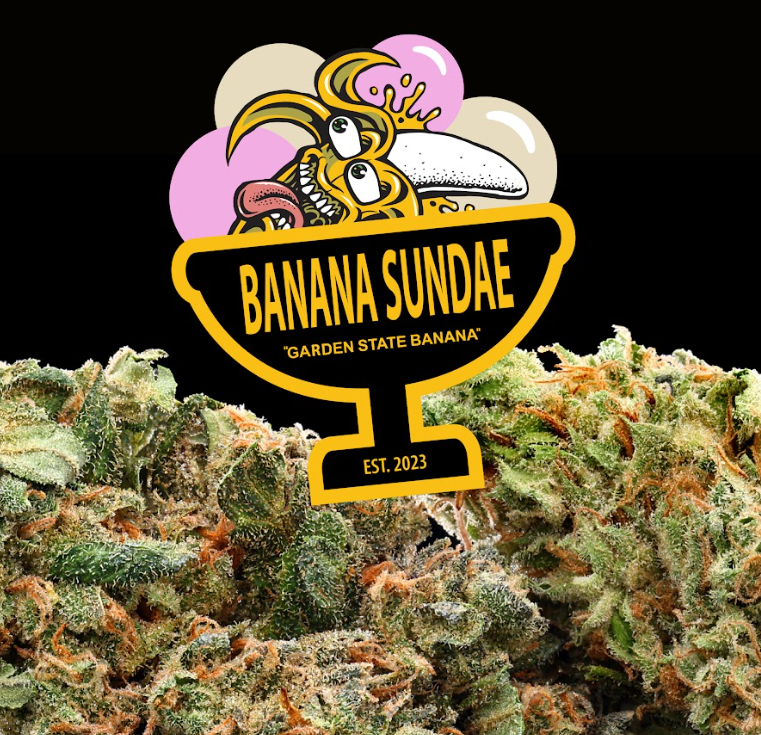 Photograph of product: [REC] Garden State Banana | Banana Sundae | 3.5g Big Buds