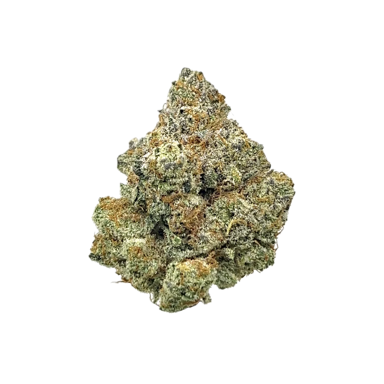 Photograph of product: Sherbet Cream Pie Flower by Elysium - 28g