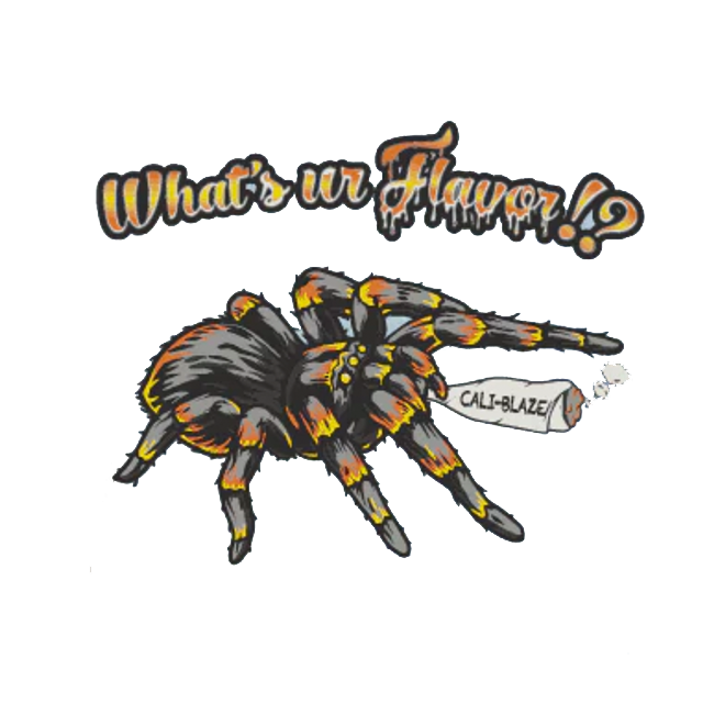 Photograph of product: MANGO 1G INFUSED TARANTULA