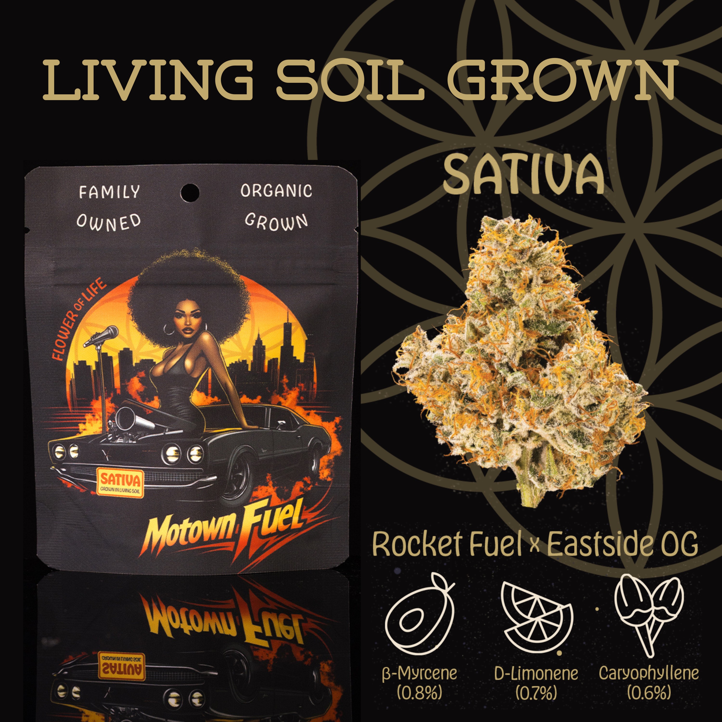 Photograph of product: Flower Of Life - Motown Fuel - Organic Bulk Flower - Oui'd - 1g