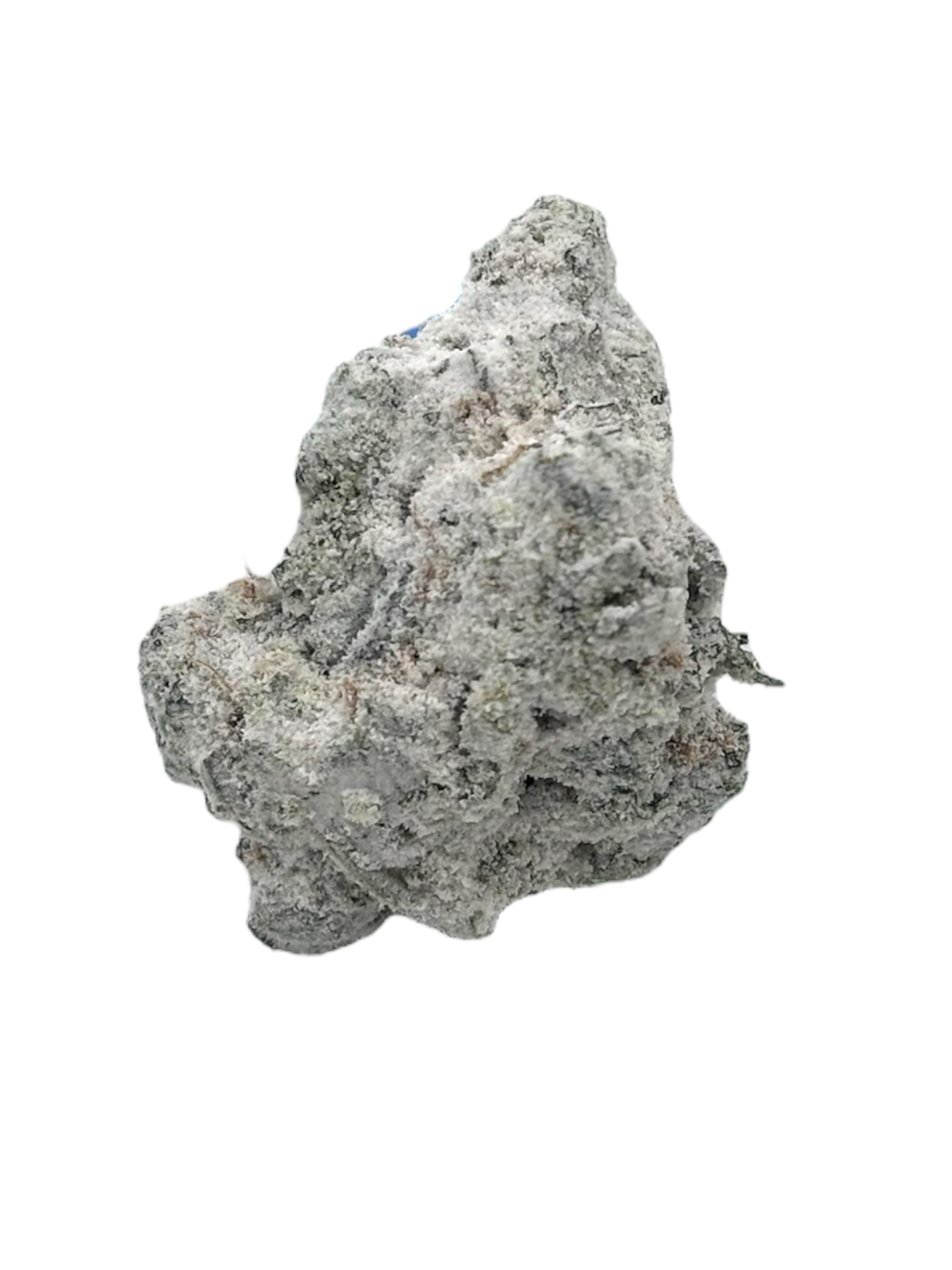 Photograph of product: Fresh Canna Dirty Shirley Snowballs Rec - 70g