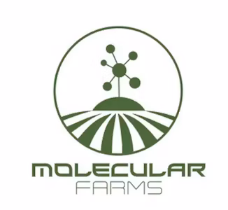 Photograph of product: Molecular Farms: Sour Jack | Pre Roll
