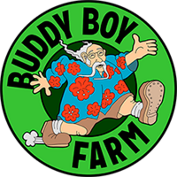 Photograph of Product: Buddy Boy - Flower - The Kraken - 4g