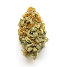 Photograph of product: Gold Shelf - Meat Breath (I) - 28g
