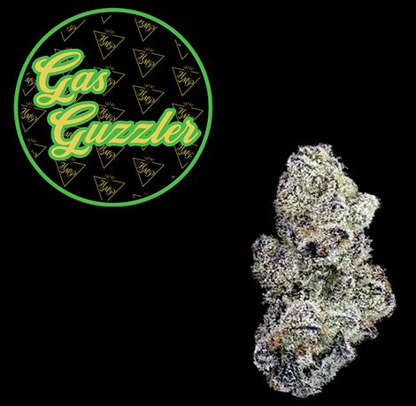 Photograph of product: Flower  - Gas Guzzler - 3.5g