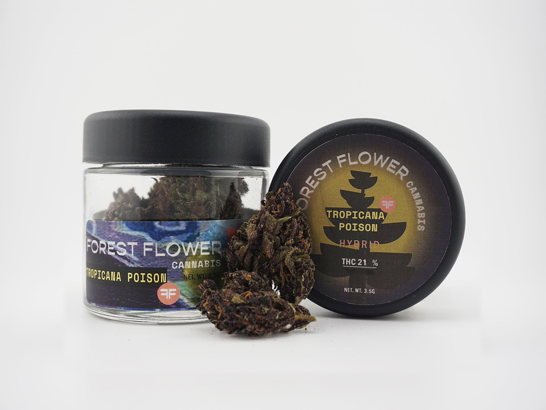 Photograph of product: Forest Flower Tropicana Poison 3.5g