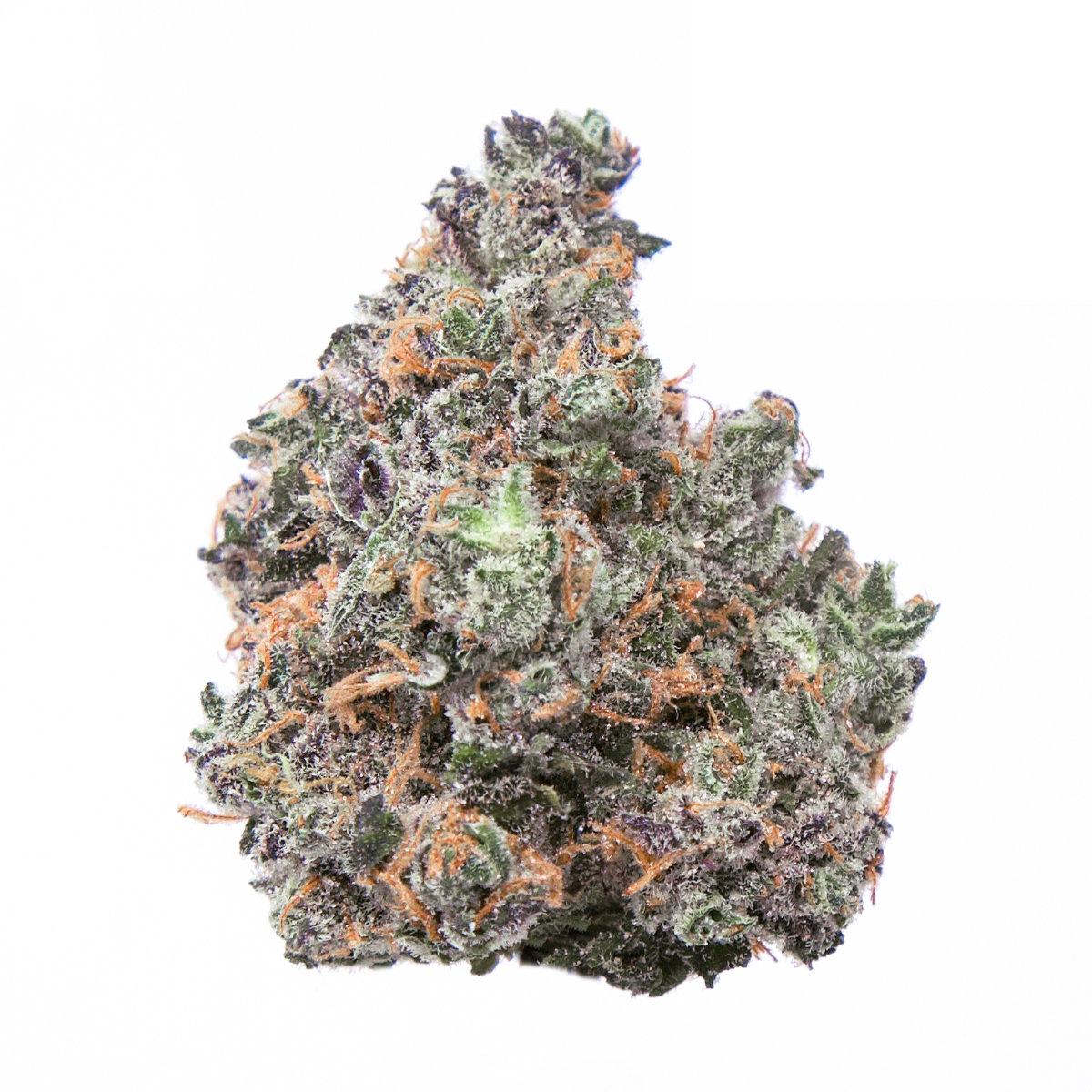 Photograph of product: Candyland Punch OZ