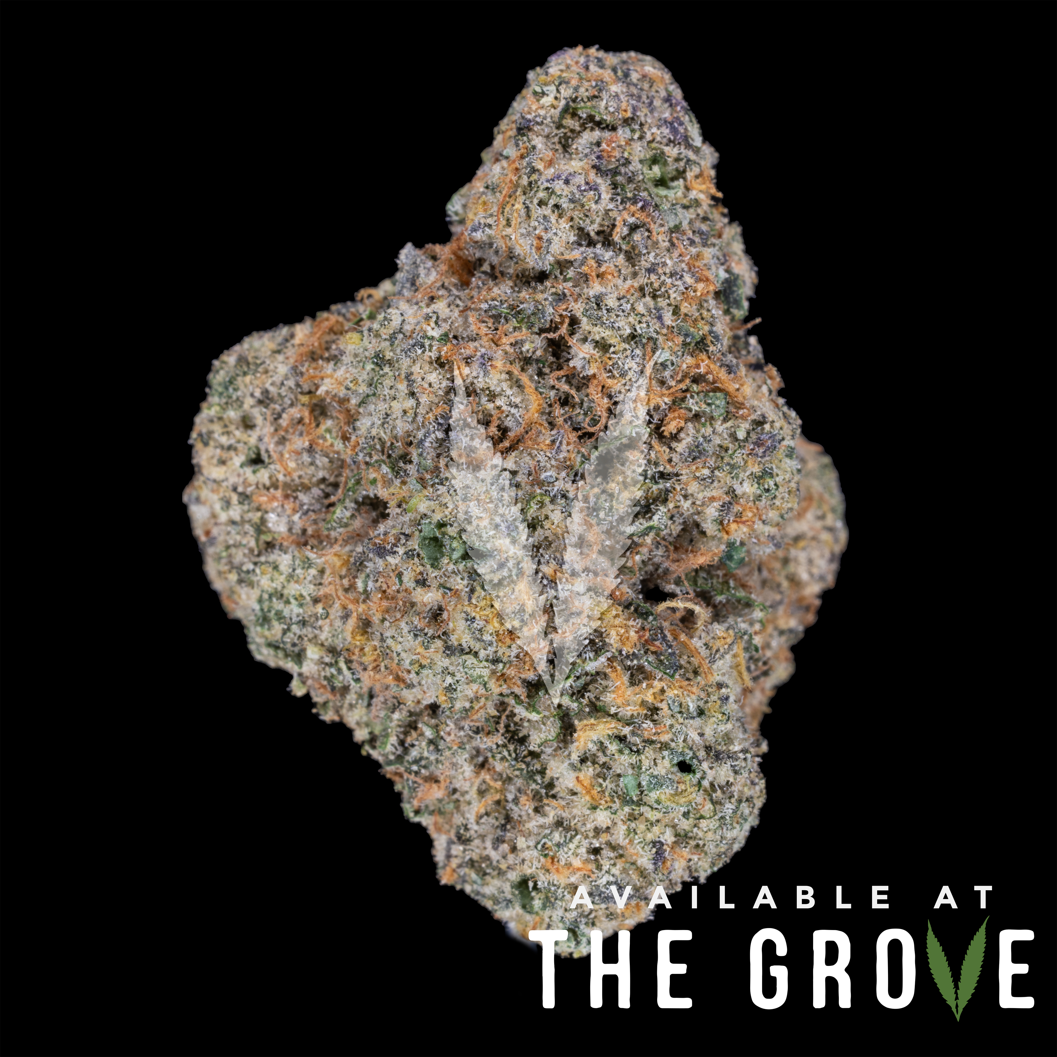 Photograph of product: Cream Of The Crop Gardens | Gary Payton - 3.5g