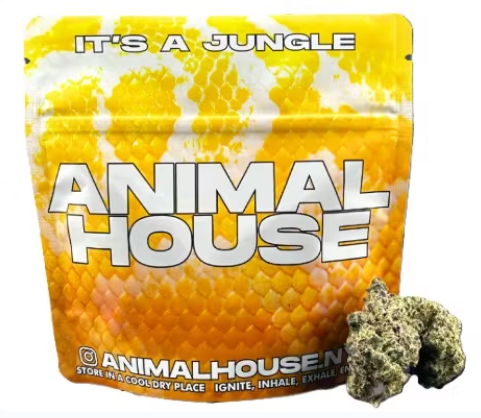 Photograph of product: AH Government Oasis Small Buds 5g