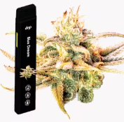 Photograph of product: Drip - Blue Dream Disposable
