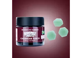 Photograph of product: MONOPOLY MELTS 100MG CARIBBEAN PUNCH LIVE ROSIN GUMMIES